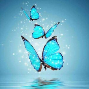 diamond painting blauwe vlinder