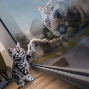diamond painting kat en tijger