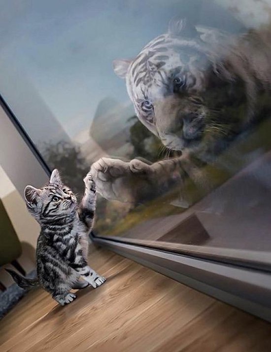 diamond painting kat en tijger