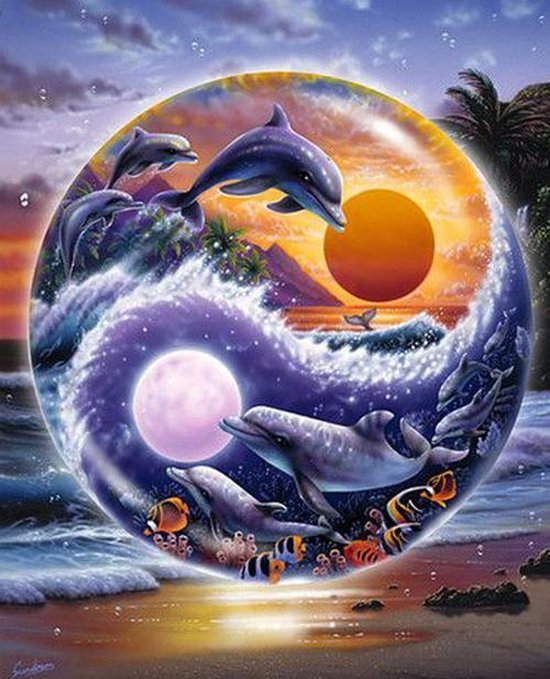 Diamond painting dolfijn Yin Yang