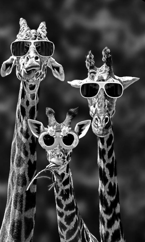 Diamond painting giraffe met zonnebril