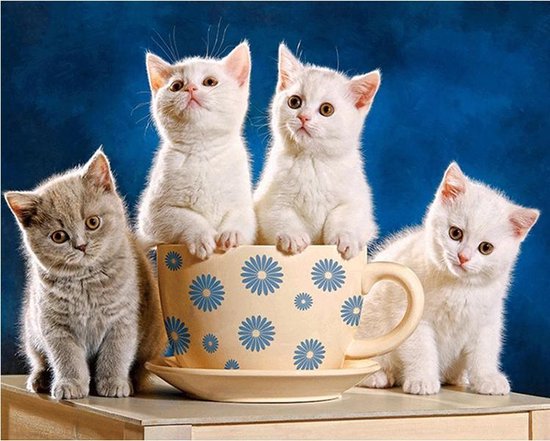 Diamond painting kittens