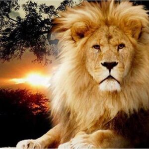 Machtige leeuw