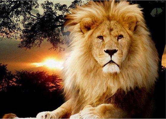 Machtige leeuw