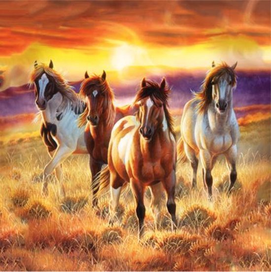 Paarden in het veld