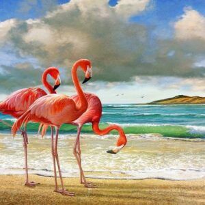diamond painting flamingo op strand