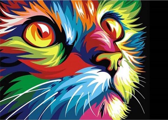 diamond painting gekleurde kat