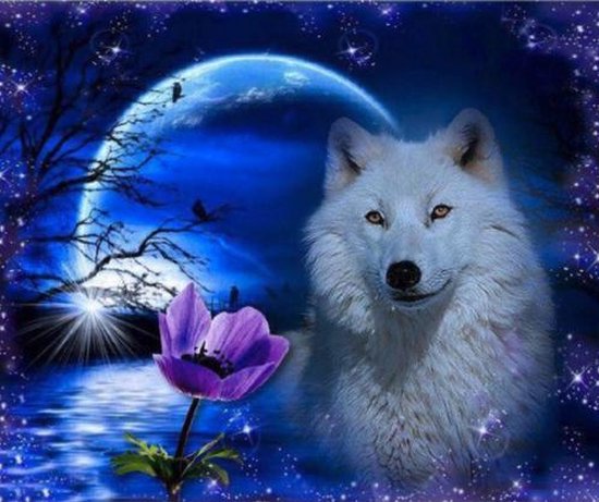 diamond painting wolf en maan