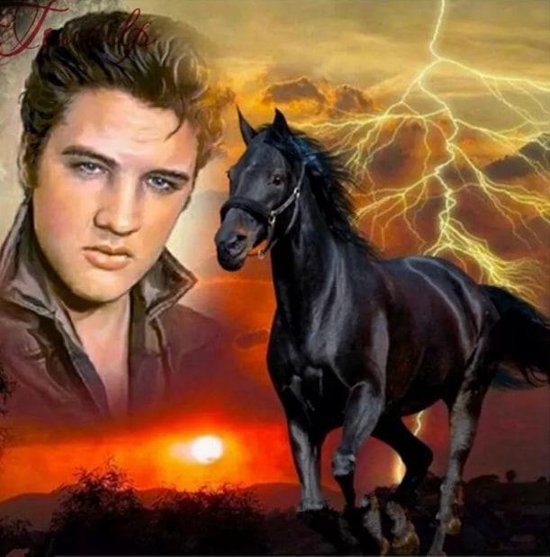 Diamond painting Elvis met paard