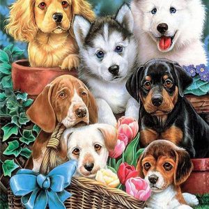 diamond painting schattige honden